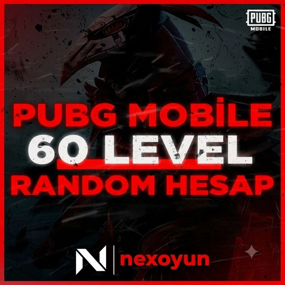 PUBG Hesap 60+ Level Garanti
